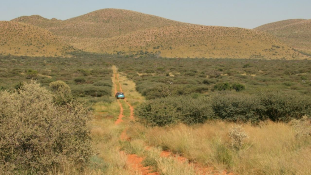 A growing concern climate change, bush encroachment and the reptiles